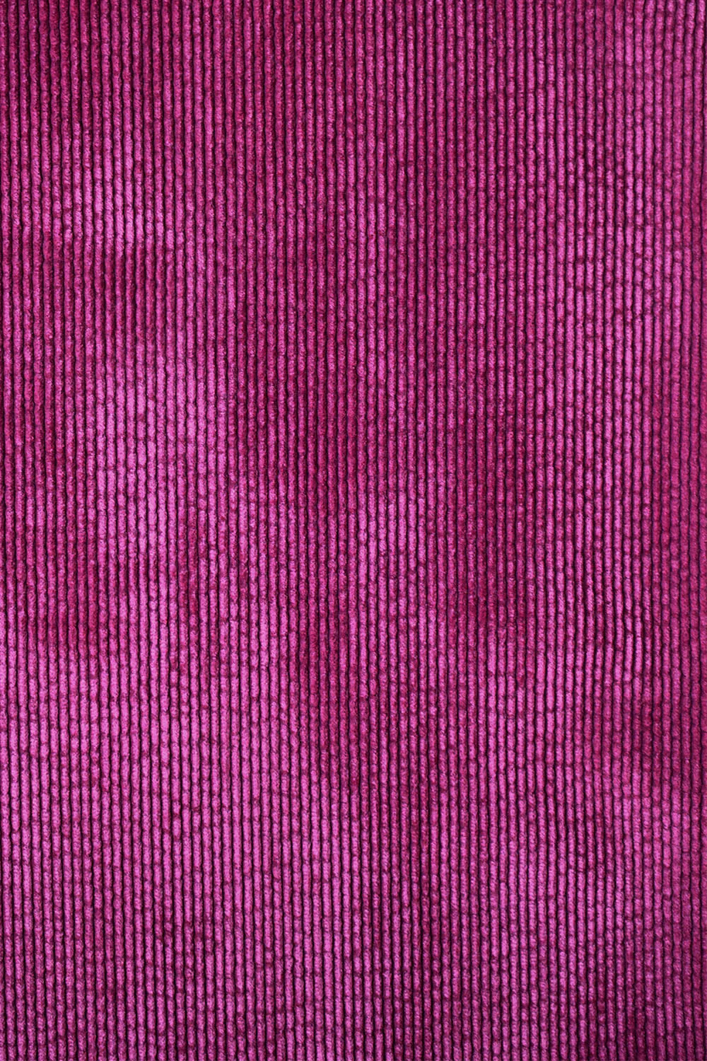Pantalon Idéaliste en velours Camélia - Image 6