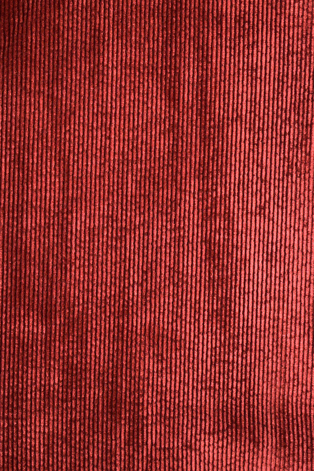 Pantalon Idéaliste en velours Châtaigne - Image 5